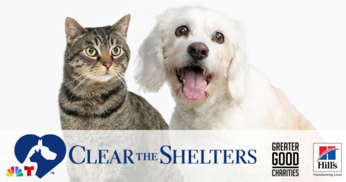 Clear the Shelters